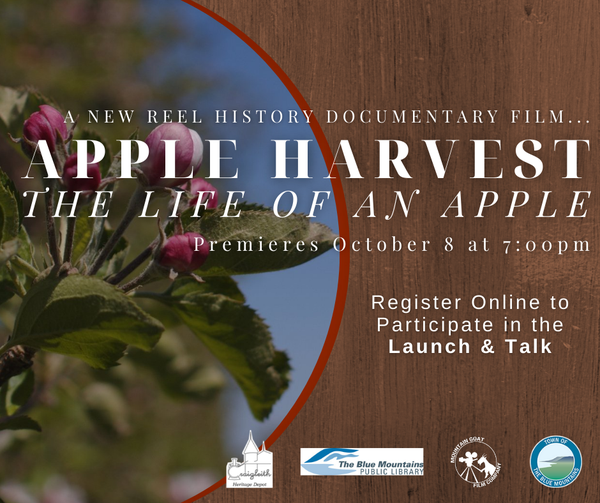 Apple Harvest Documentary